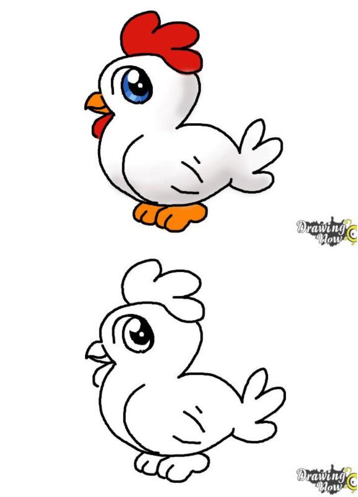 How to Draw a Chicken for Kids