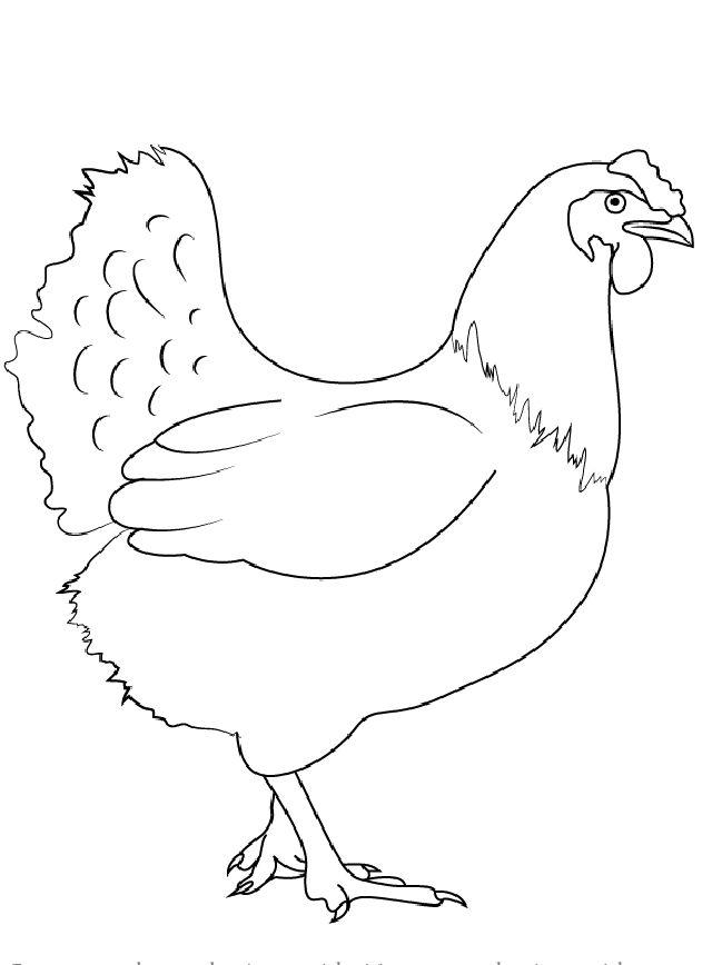 How to Draw a Chicken