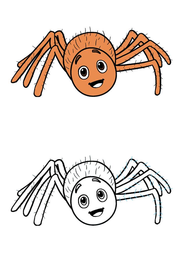 How to Draw a Cute Cartoon Spider