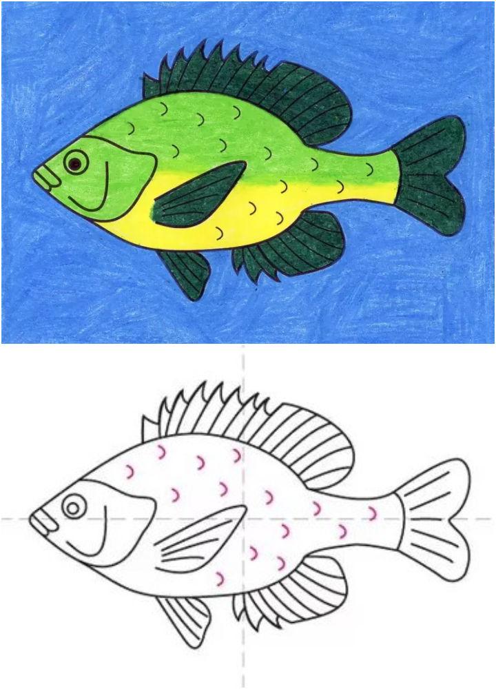 How to Draw a Fish 1