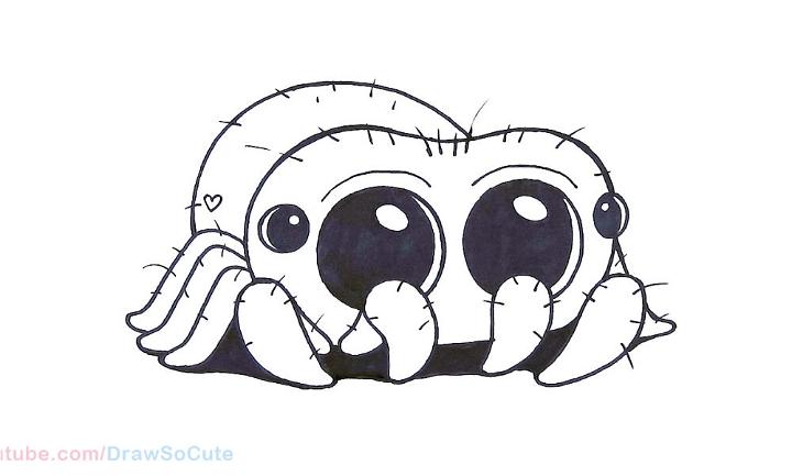 How to Draw a Jumping Spider