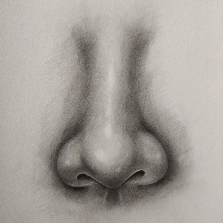 How to Draw a Nose Front View