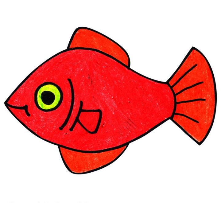 How to Draw a Platy Fish