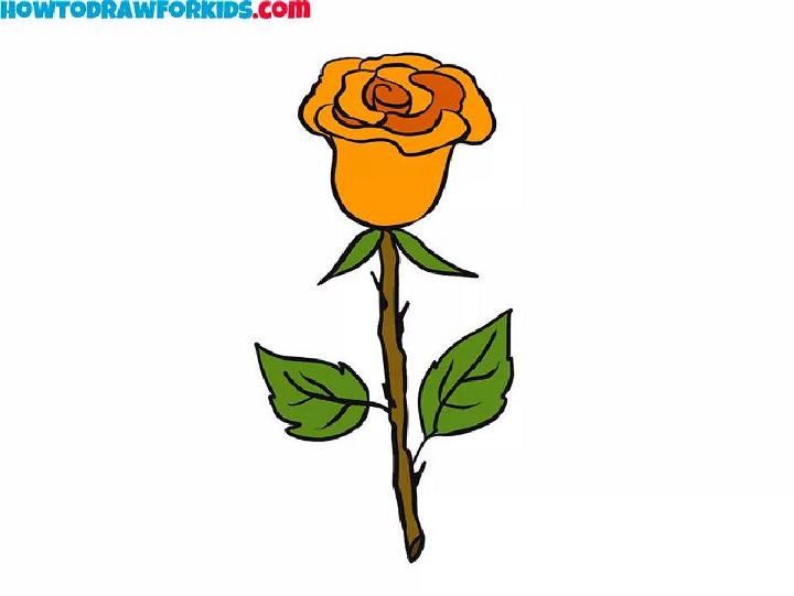 How to Draw a Realistic Rose 1