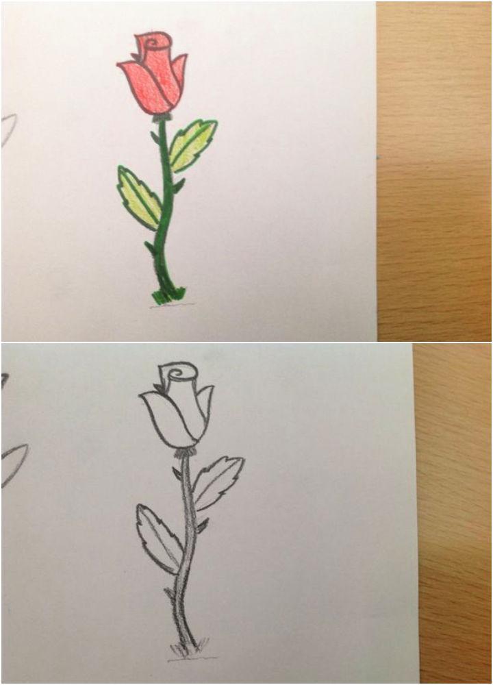 How to Draw a Rose