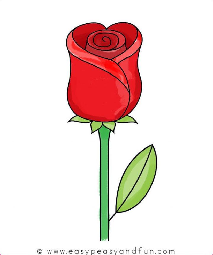 How to Draw a Rose 1