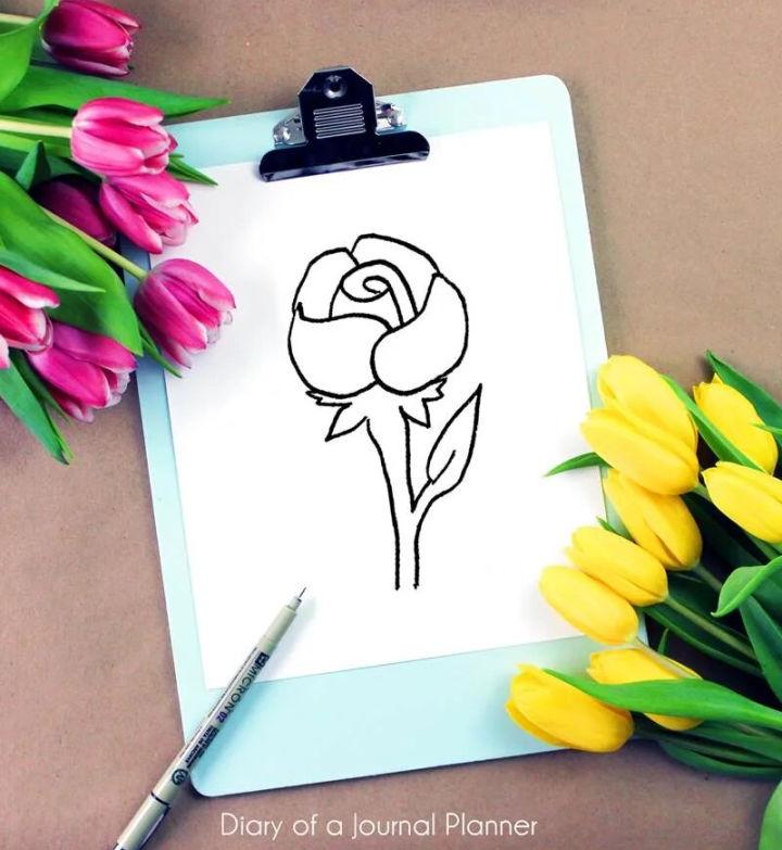 How to Draw a Rose Step by Step Instructions for Beginners