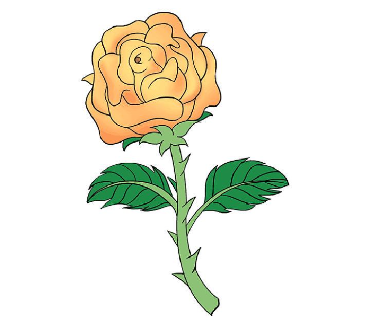 How to Draw a Rose with Stem 1