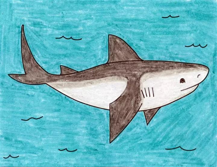 simple shark drawing