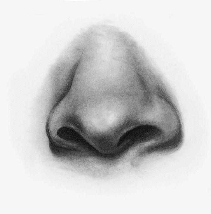 How to Draw a Simple Nose