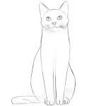 30 Cute and Easy Cat Drawing Ideas - How To Draw A Cat - Blitsy