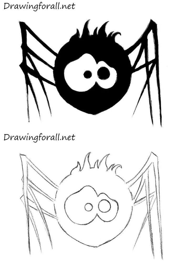 Draw a Cute Spider on a Web. Easy drawing tutorial. Halloween! For kids, or  beginners. - YouTube