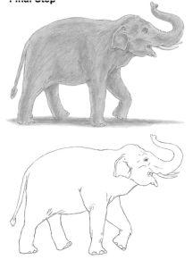 25 Easy Elephant Drawing Ideas - How to Draw an Elephant