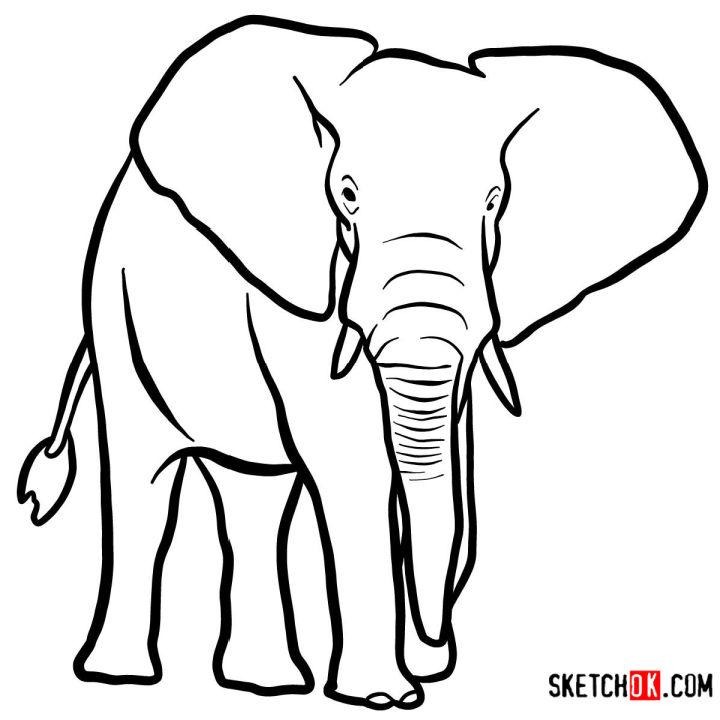 Elephant drawing || How to draw an elephant || Elephant drawing easy step  by step - YouTube