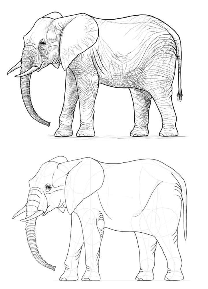 Very Easy Elephant Drawing | How to Draw an Elephant 🐘 - YouTube