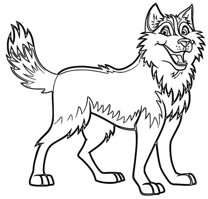 Husky Dog Coloring Pages Pictures to Color