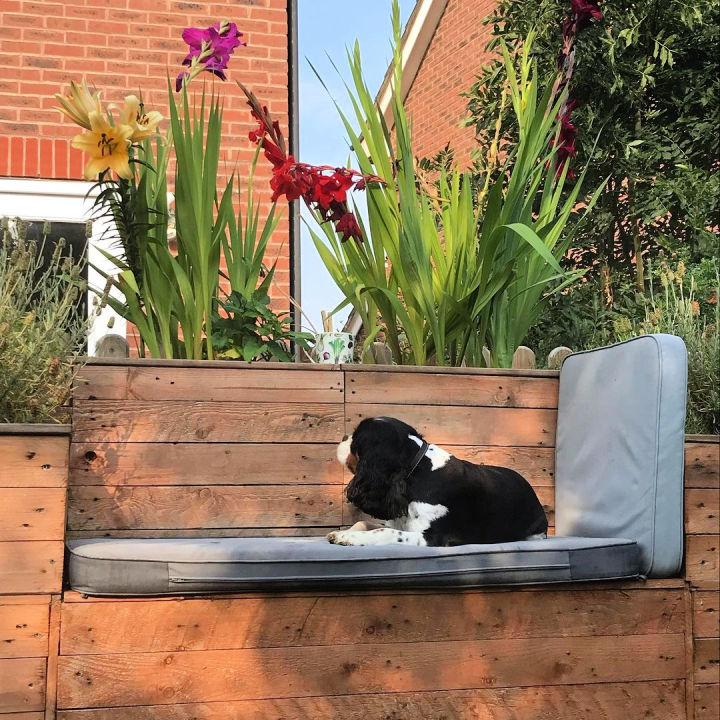 Inexpensive Pallet Bench