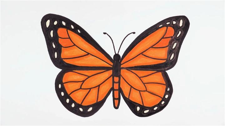 Monarch Butterfly Drawing and Coloring