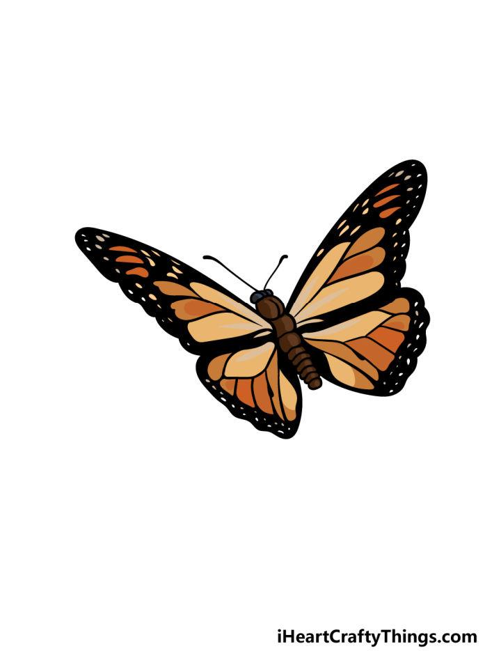 Monarch Butterfly Drawing