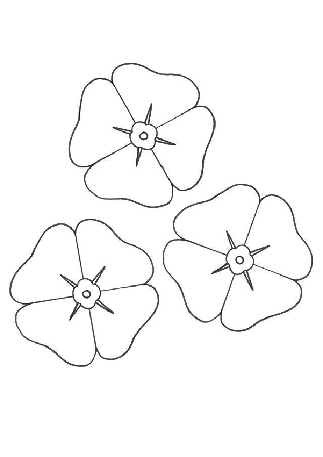 Preschool Flower Coloring Pages