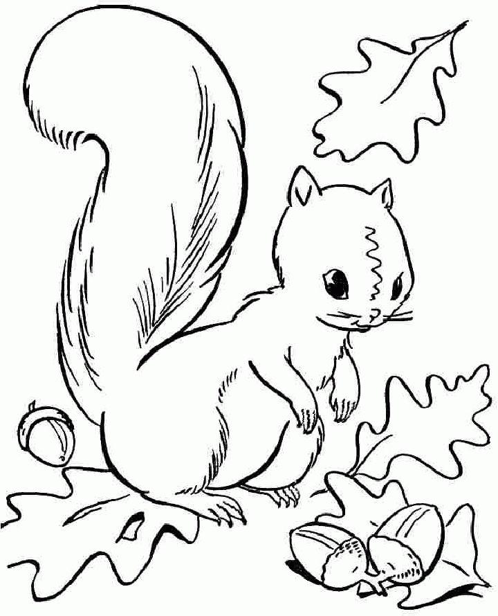 Preschoolers Fall Coloring Pages