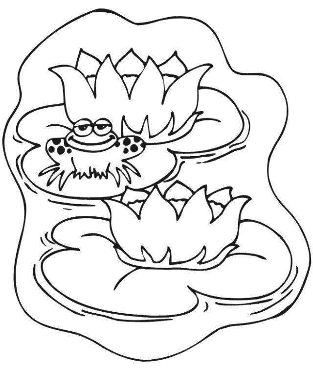 Pretty Lily Flower Coloring Pages