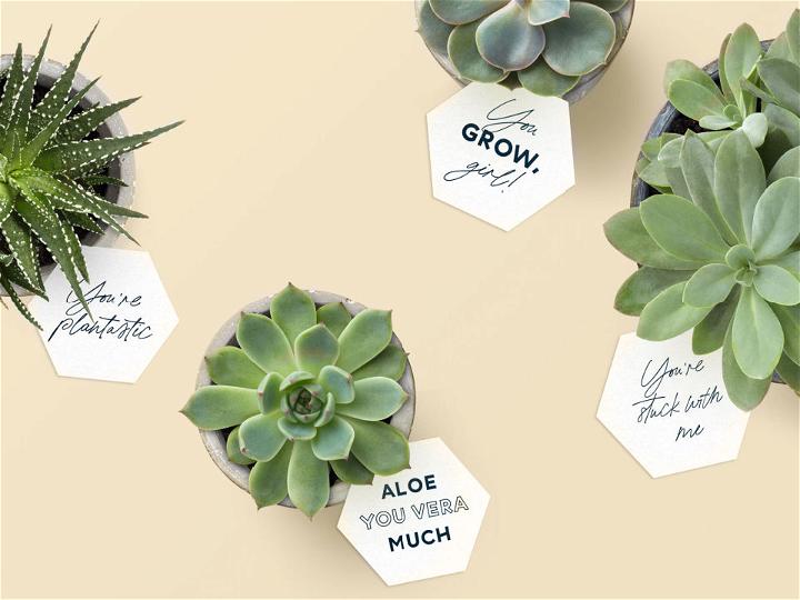 Pretty Printable Succulent Gift Tags