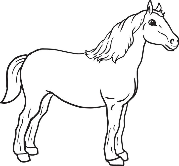 Printable Horse Pictures to Color