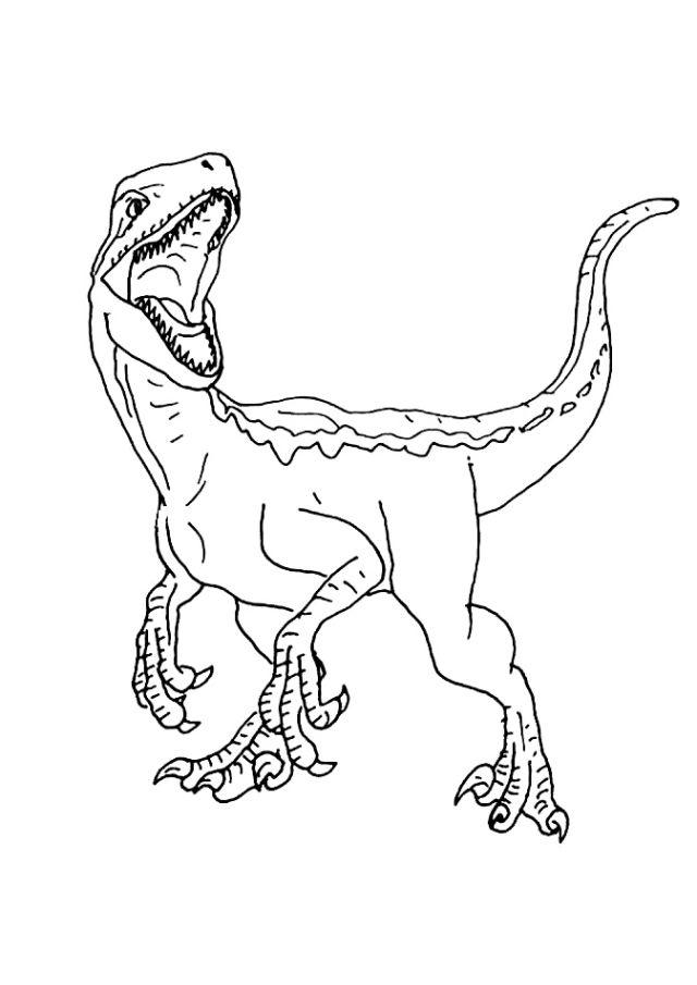 Raptor Dinosaur Coloring Pages