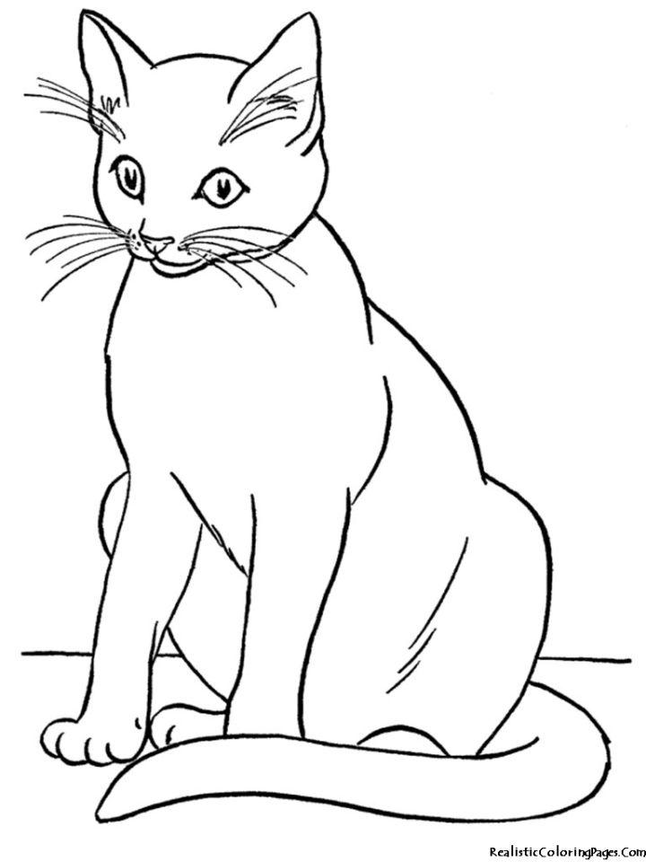 Realistic Cat Coloring Pages