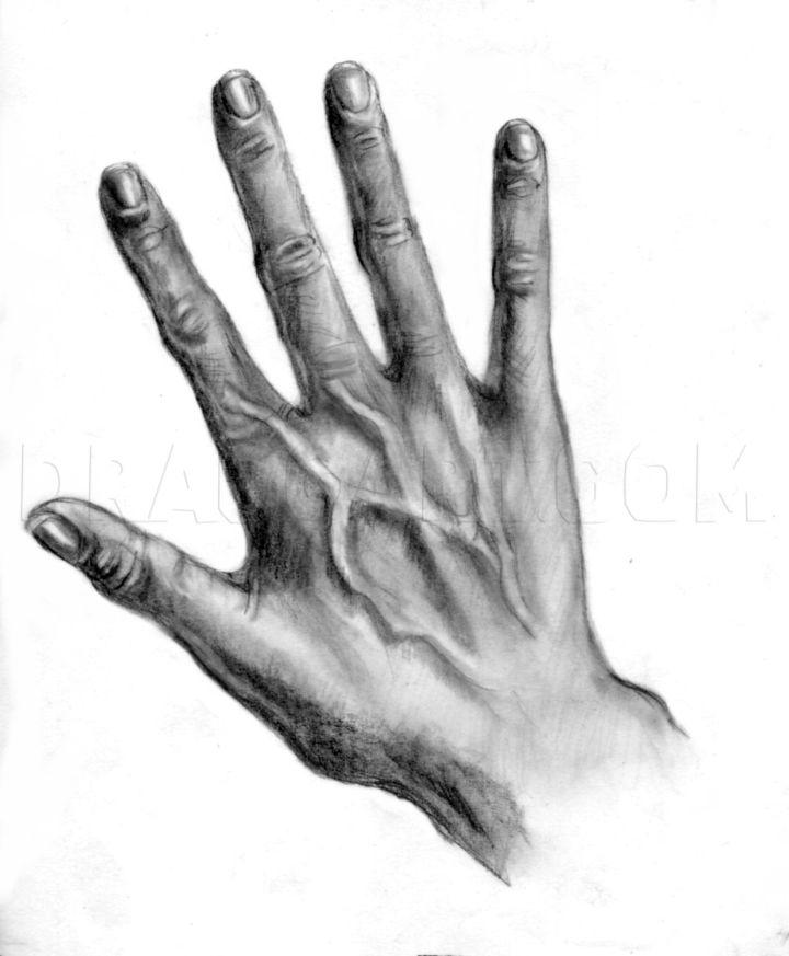 Realistic Hand Drawings