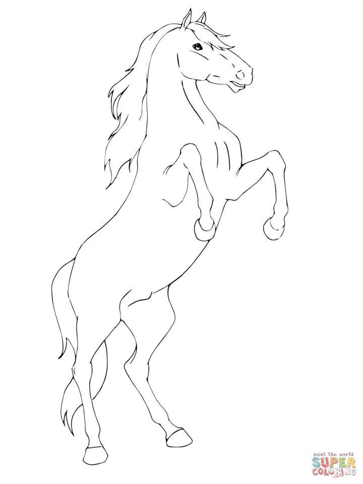 Rearing Horse Coloring Page for Kids