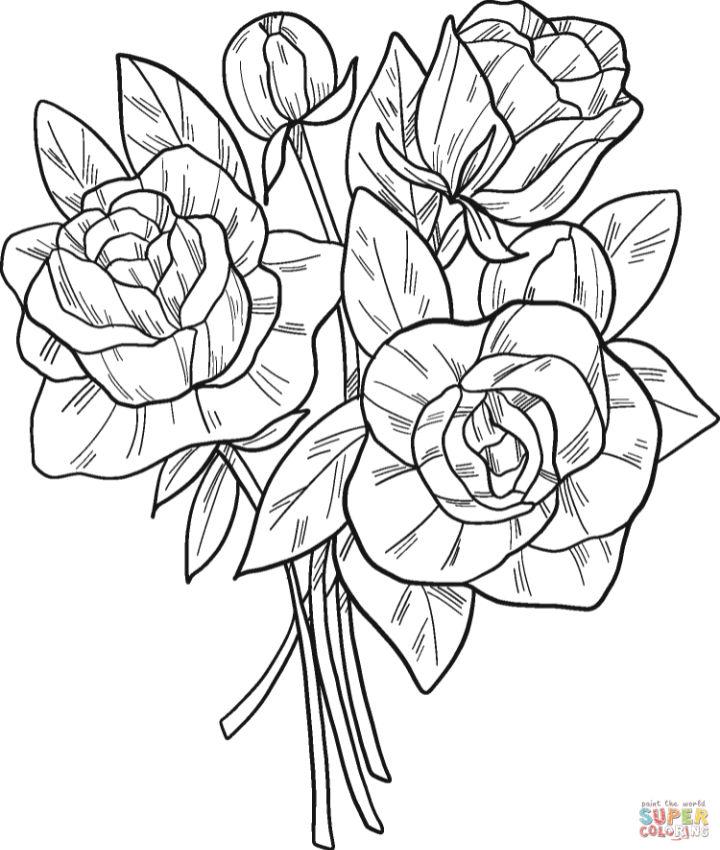 Rose Flower Coloring Sheets