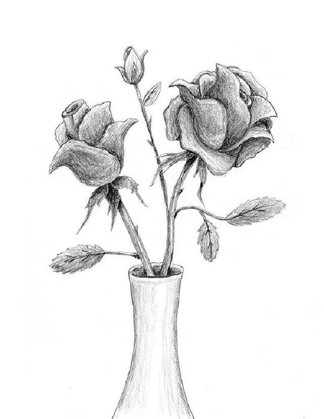 Rose in a Vase Drawing