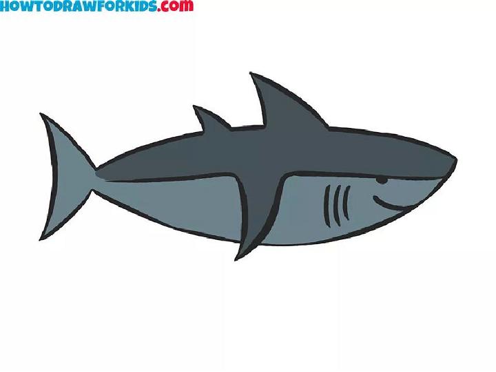 Shark Drawing Step by Step Instructions