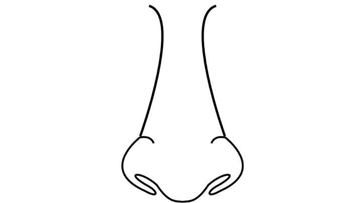 Simple Cartoon Nose Drawing
