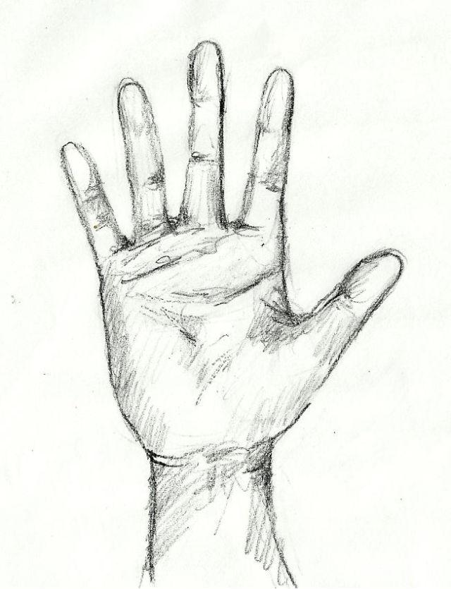 Sketching of Human Hand