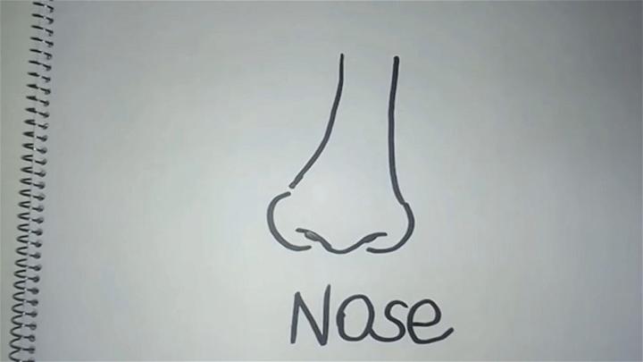 Small Nose Drawing for Kids