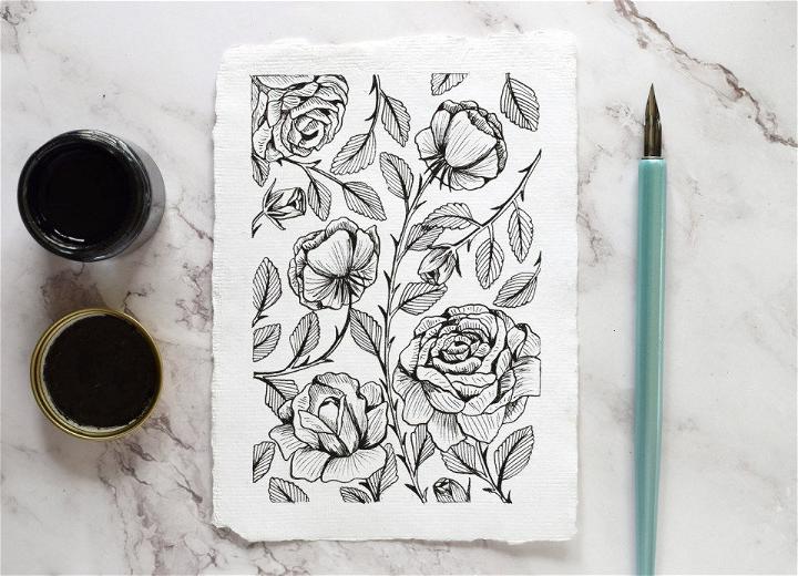 Vintage Rose Illustration Using Dip Pen