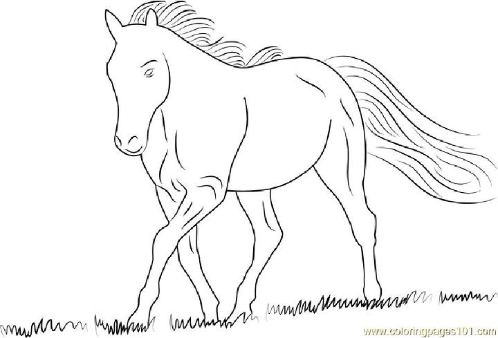 White Horse Coloring Page for Little Ones
