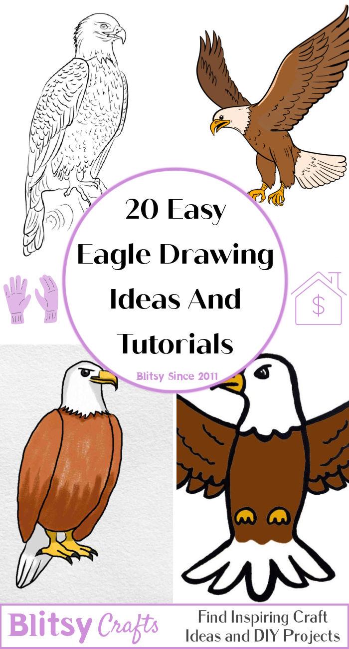 how to draw a golden eagle