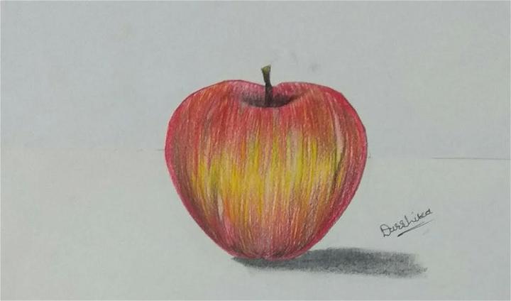 Realistic apple drawing | apple sketch | Drawing apple, Apple sketch,  Drawings