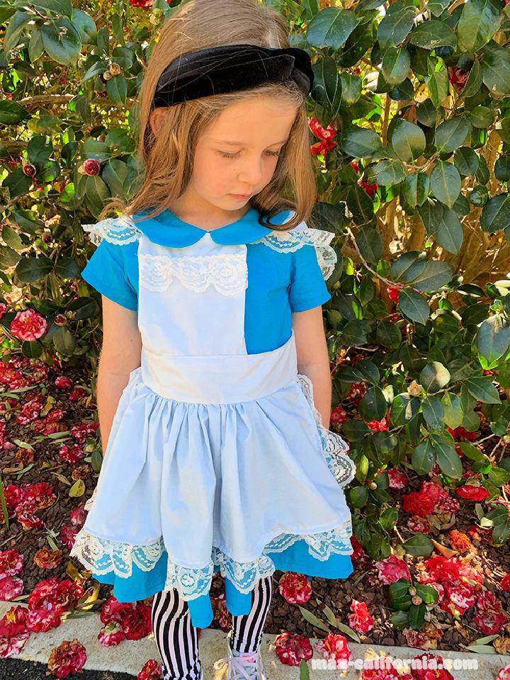 Alice in Wonderland Costume for Kids