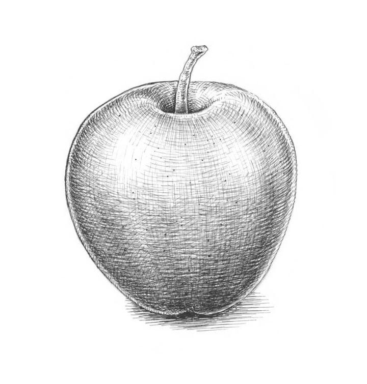 Apple Drawing Pencil