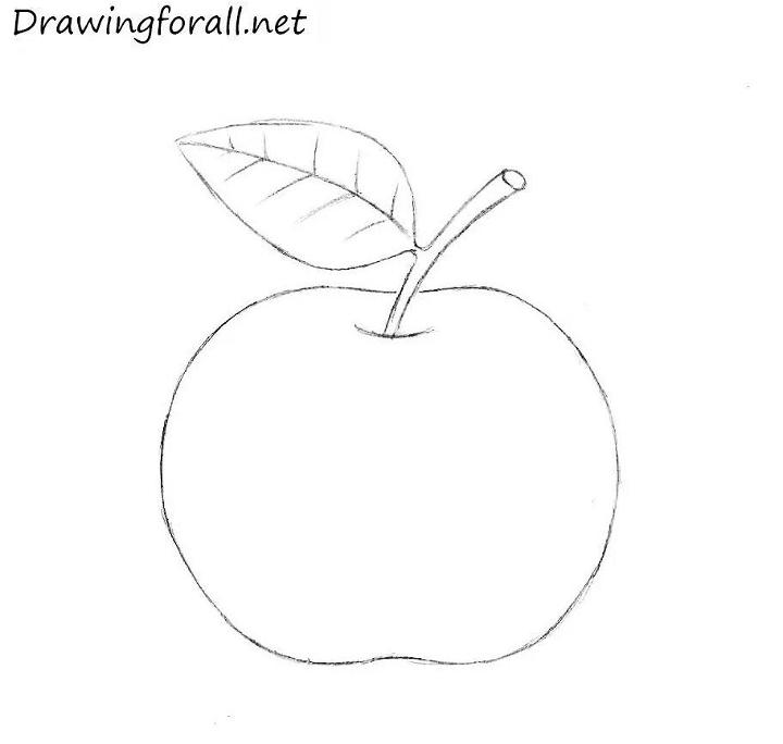 Apple Drawing for Beginners