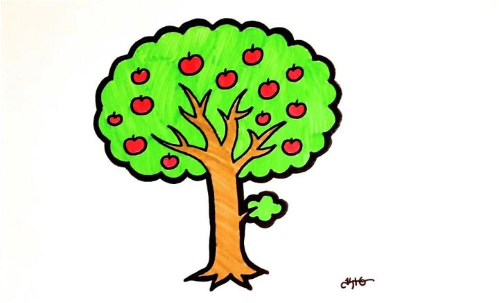 Apple Tree Drawing