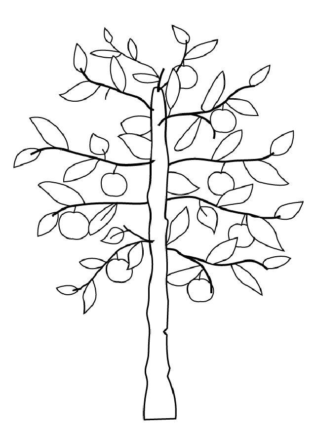 Apple Tree Drawing