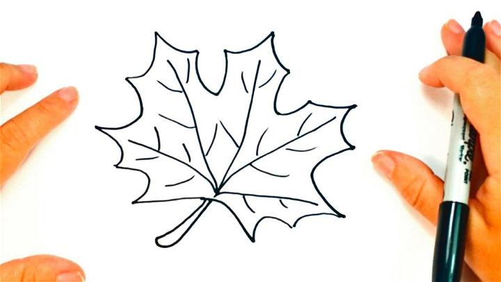 Autumn Leaf Sketch