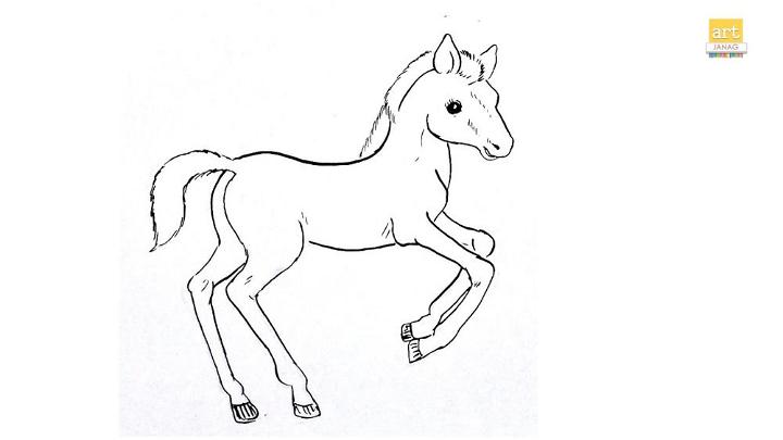 Baby Horse Drawing