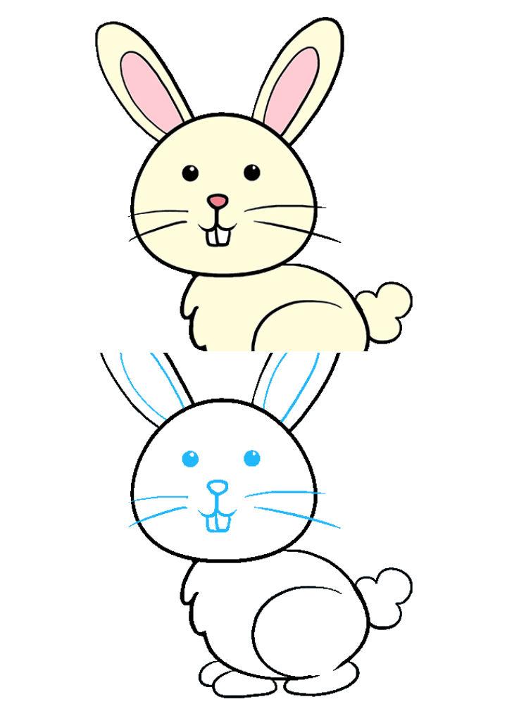 Best Way to Draw a Bunny